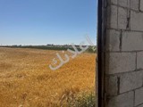 مزرعة انتاج حيواني زراعي للبيع 