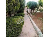 مزرعة للبيع في الكسوة المقيليبة