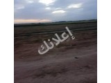أرض قريبة من طريق المطار جدٱ وقريبة من المطار 50000 متر موبع 