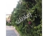 مزرعة للبيع -طريق المطار  -ريف دمشق- بسعر مغري