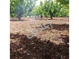 أرض زراعية للبيع في الزبداني 1500 م² طابو نظامي