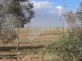 للبيع ارض طريق لمطار مباشر مساحة 115 دنم سياحي تجاري طابو 