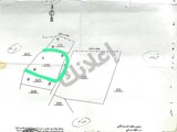 أرض استثمارية مميزة التواني ريف دمشق فرصة للجادين فقط?