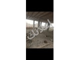 شقه 116متر طابق رابع دمشق العسالي 