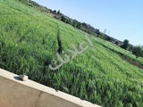 أرض زراعية للبيع في عين ترما  - 3500 م²